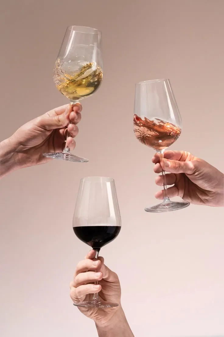 Dégustation de vins
